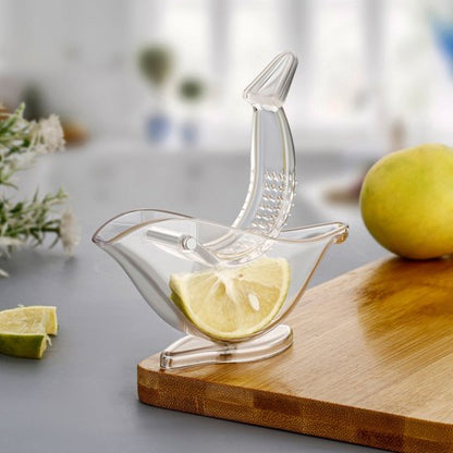  Morceau citron dans Presse agrume 